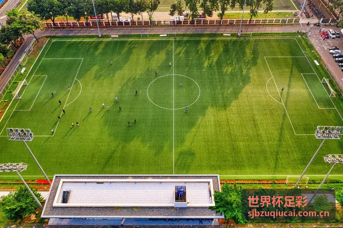世界杯足彩核心球员状态对球队关键作用